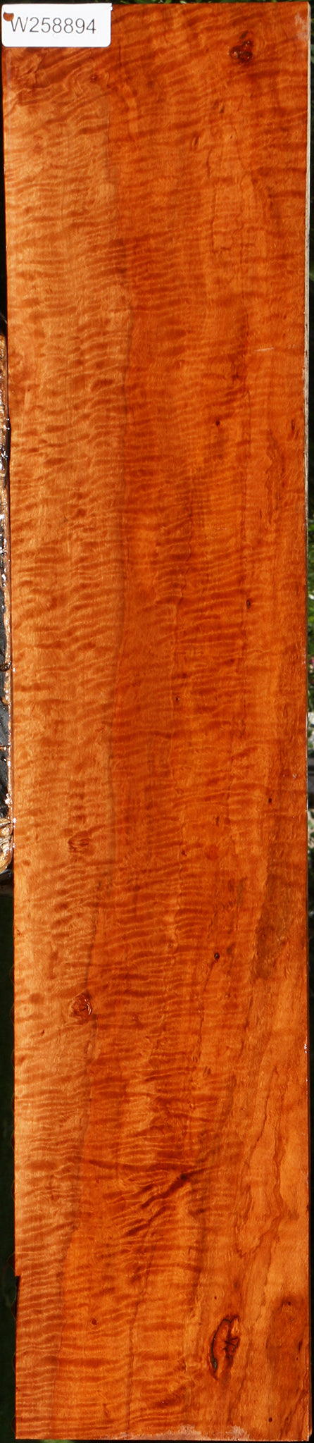 Exhibition Burmese Padauk Lumber