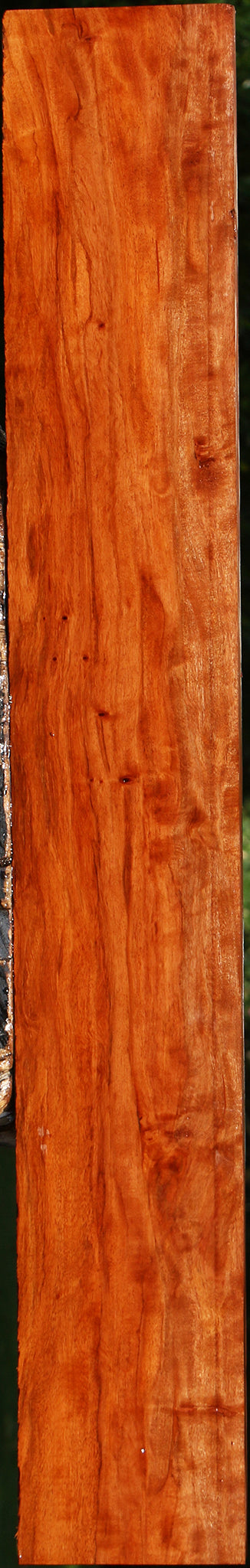 Figured Burmese Padauk Lumber