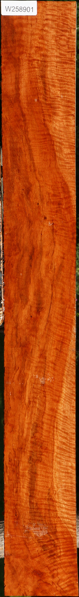 Extra Fancy Burmese Padauk Lumber