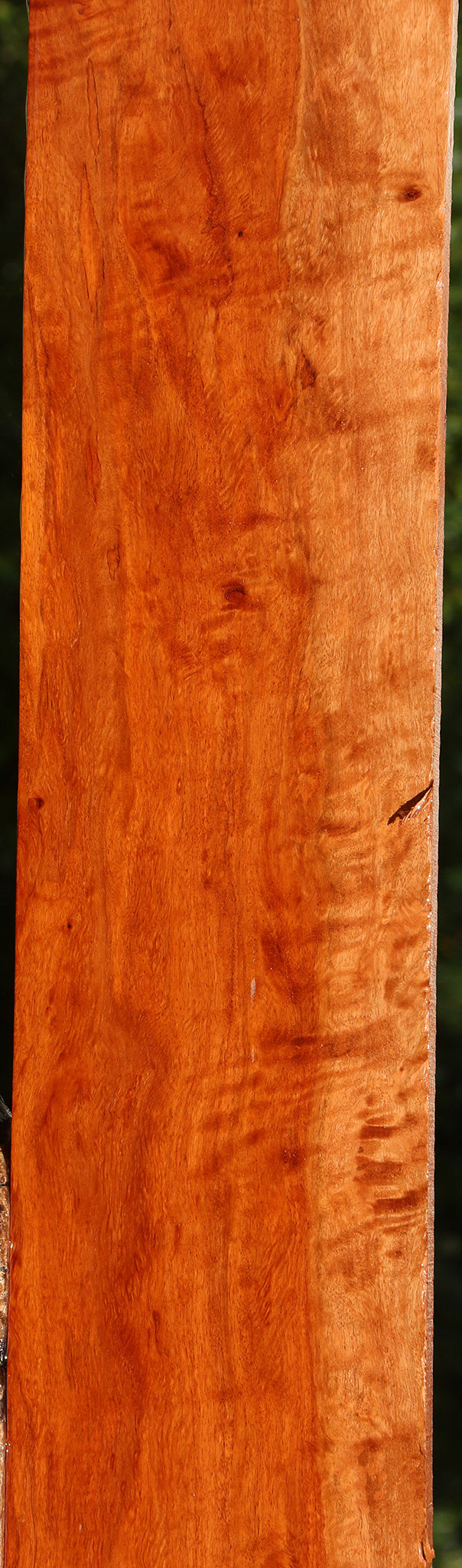Extra Fancy Burmese Padauk Lumber