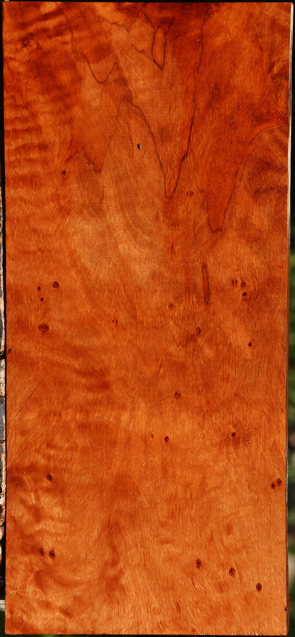Extra Fancy Burmese Padauk Lumber