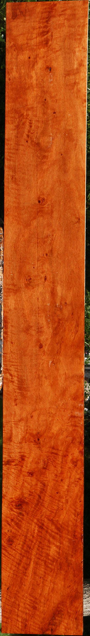 Extra Fancy Burmese Padauk Lumber
