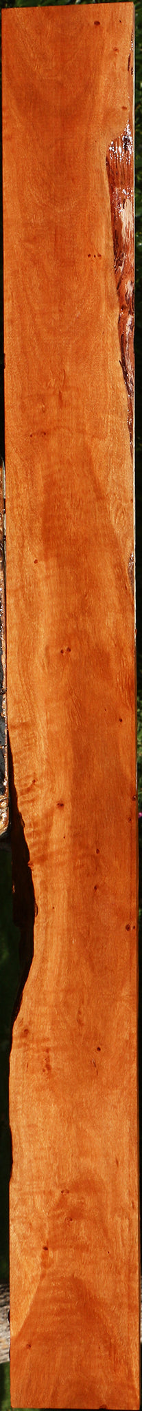 Burmese Padauk Lumber