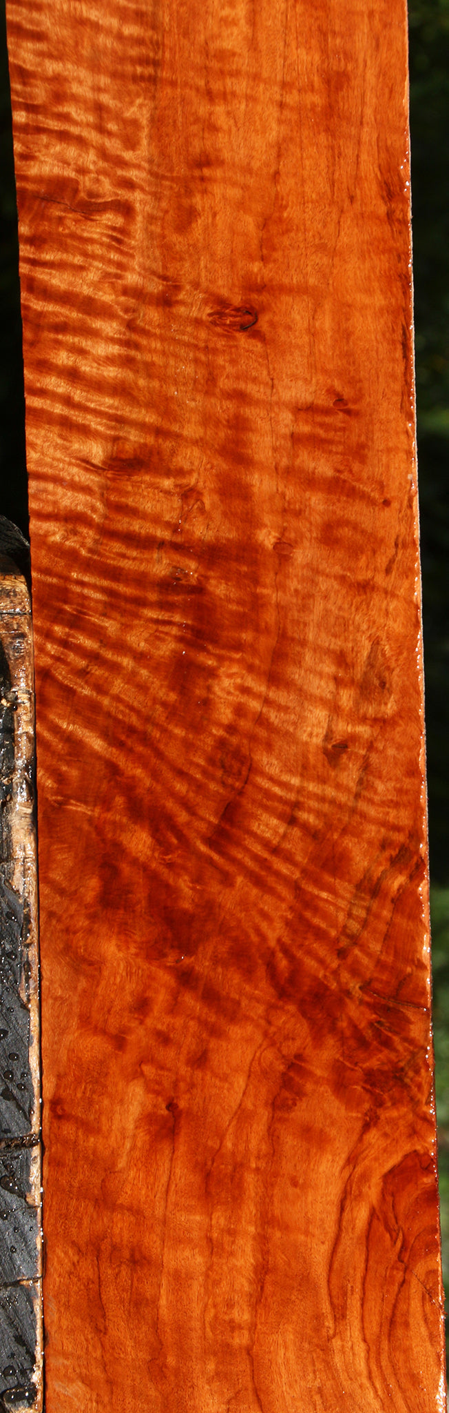 Extra Fancy Burmese Padauk Lumber