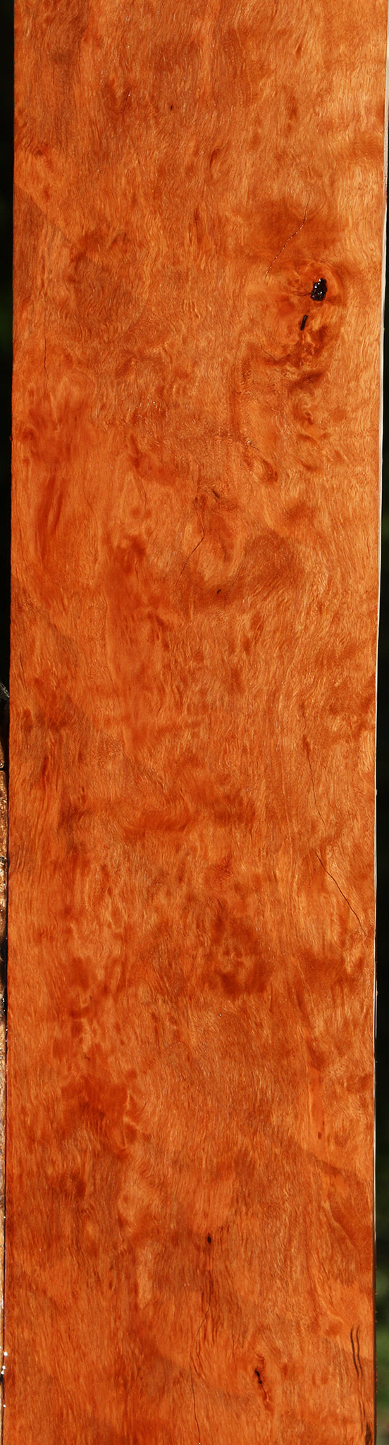 Extra Fancy Burmese Padauk Lumber