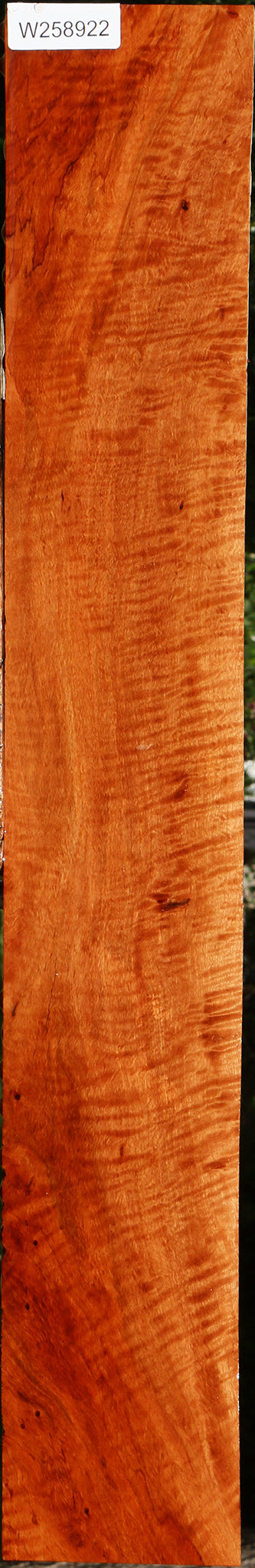Extra Fancy Burmese Padauk Lumber