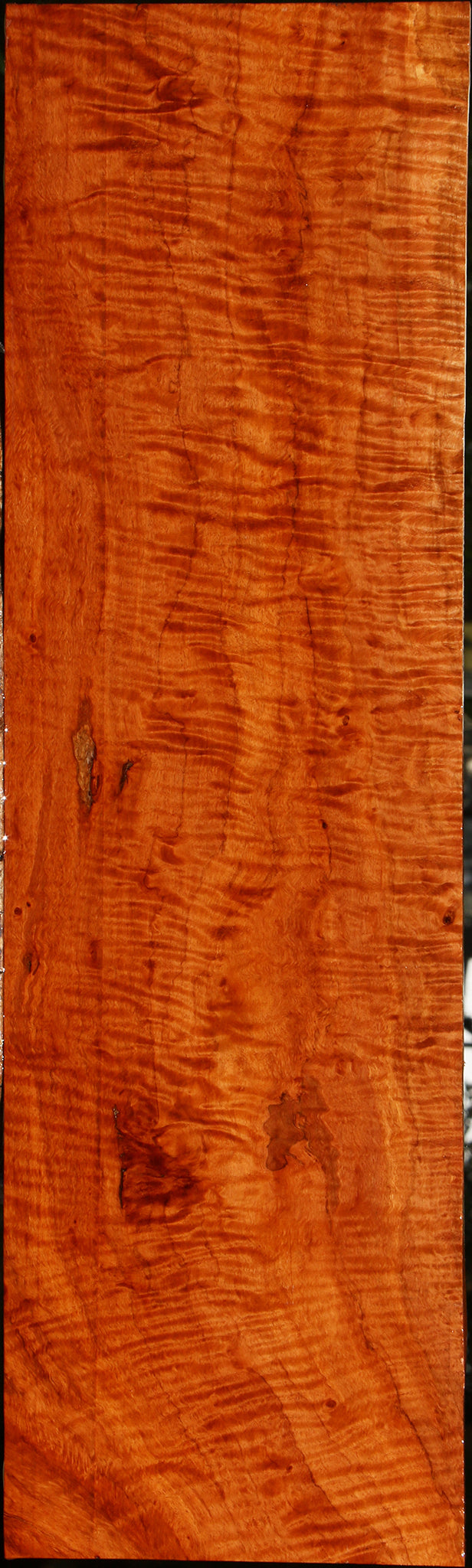 Exhibition Burmese Padauk Lumber