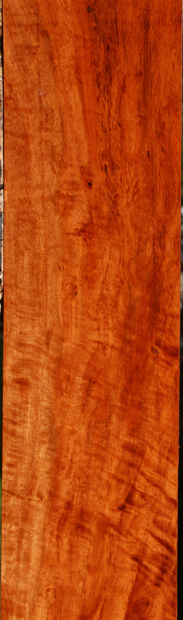 Extra Fancy Burmese Padauk Lumber