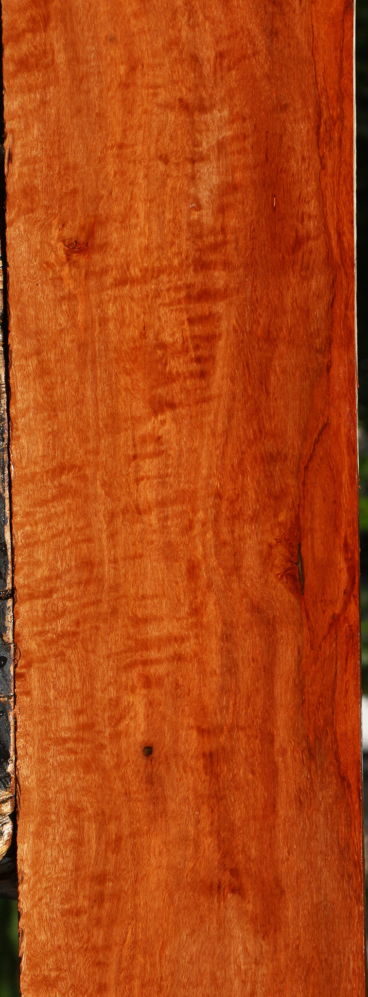 Extra Fancy Burmese Padauk Lumber