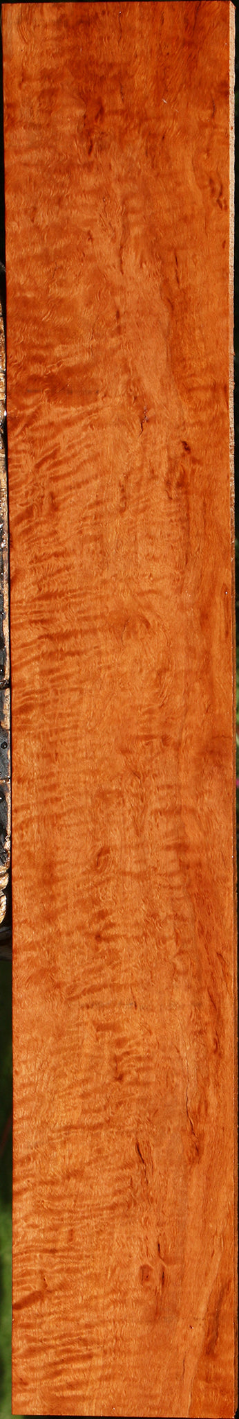 Extra Fancy Burmese Padauk Lumber