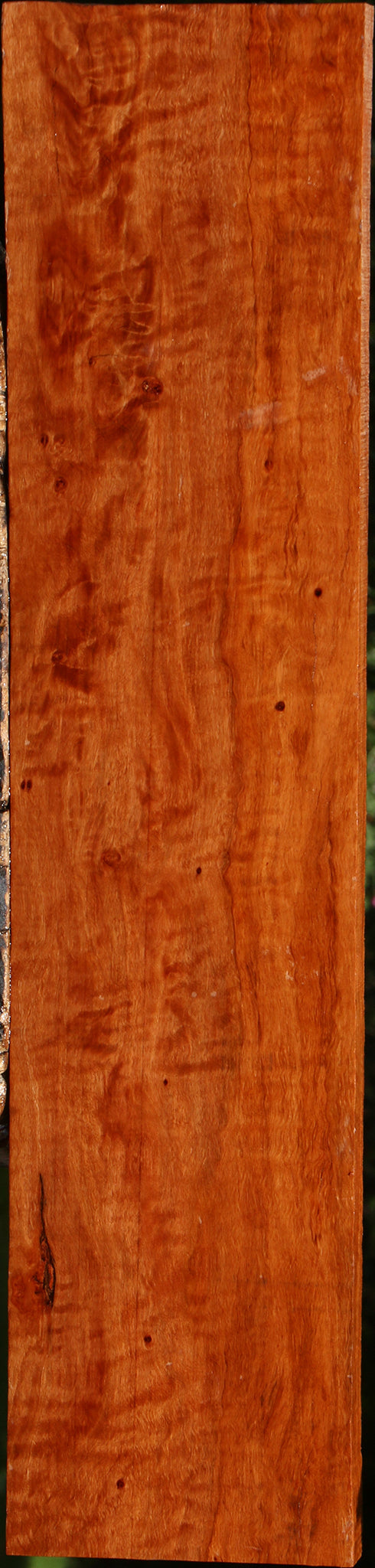 Extra Fancy Burmese Padauk Lumber