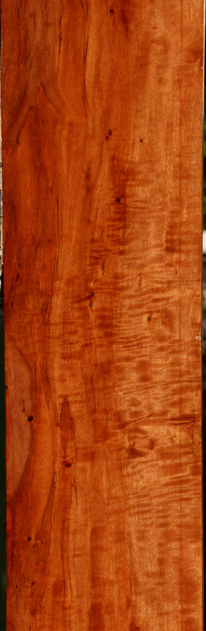 Extra Fancy Burmese Padauk Lumber
