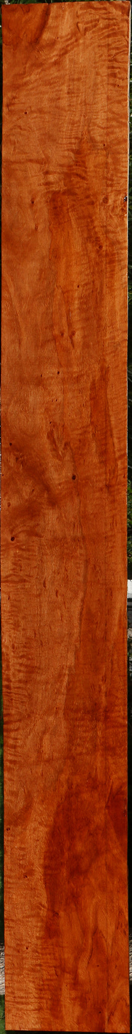 Extra Fancy Burmese Padauk Lumber