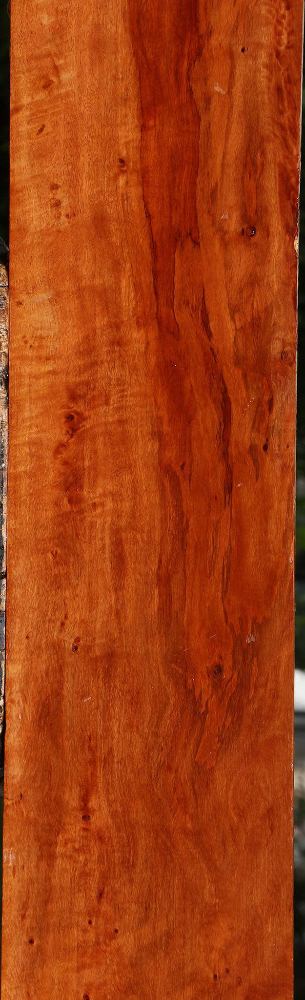 Figured Burmese Padauk Lumber