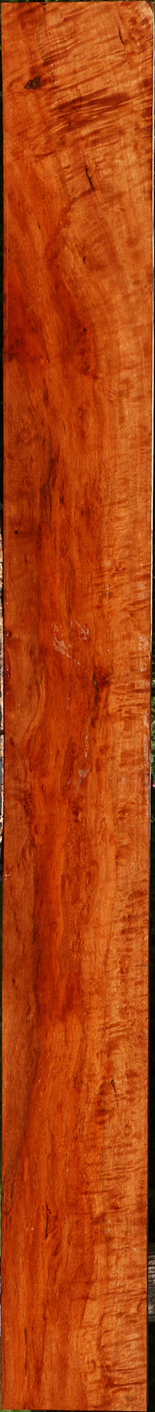 Extra Fancy Burmese Padauk Lumber