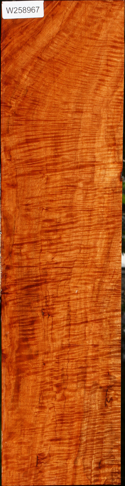 Exhibition Burmese Padauk Lumber