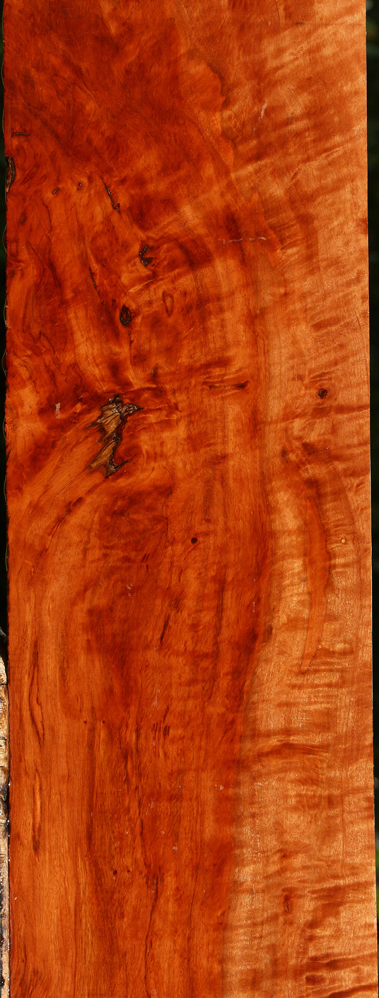 Extra Fancy Burmese Padauk Lumber