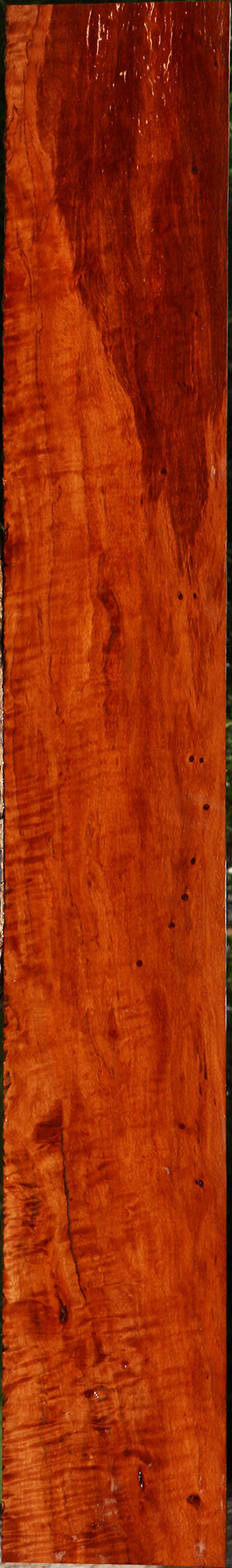 Extra Fancy Burmese Padauk Lumber