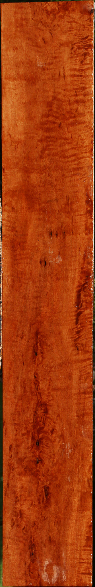 Extra Fancy Burmese Padauk Lumber