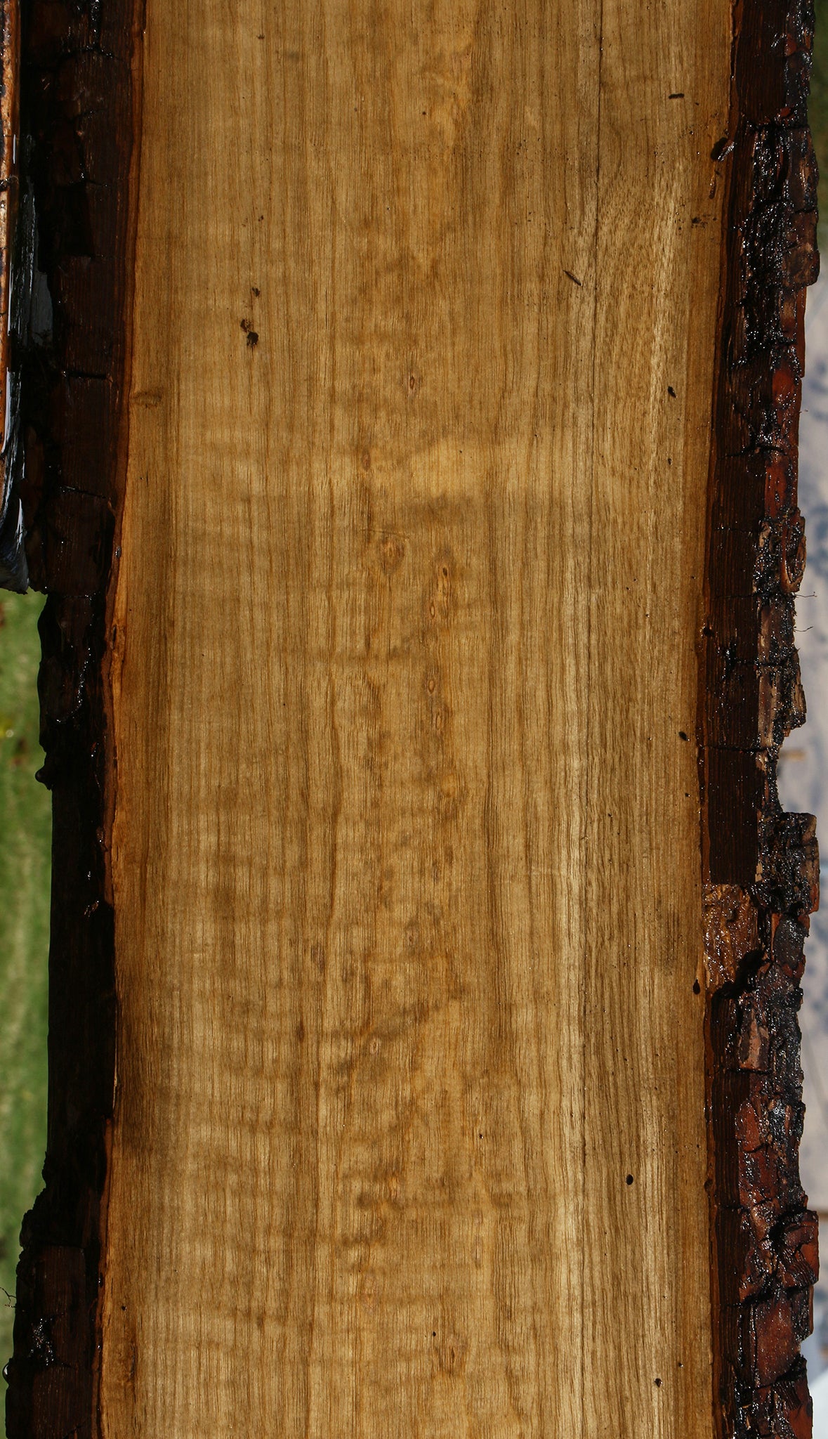 Figured Persimmon Live Edge Lumber