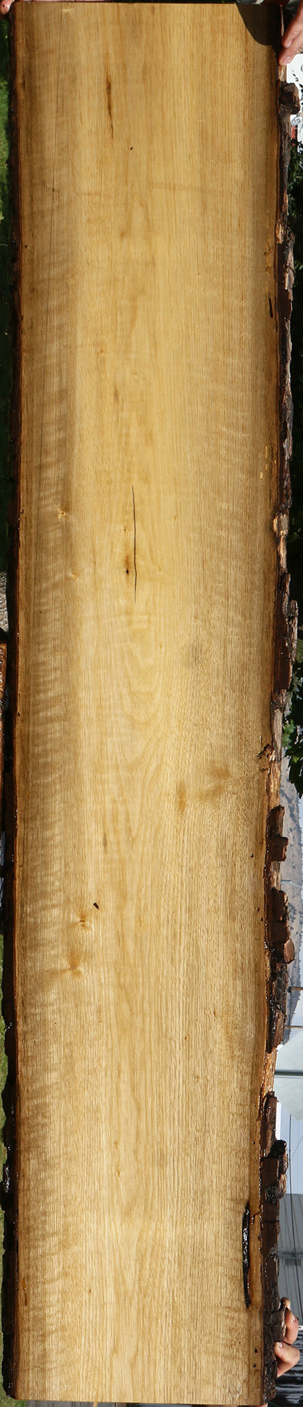 Extra Fancy Persimmon Live Edge Lumber