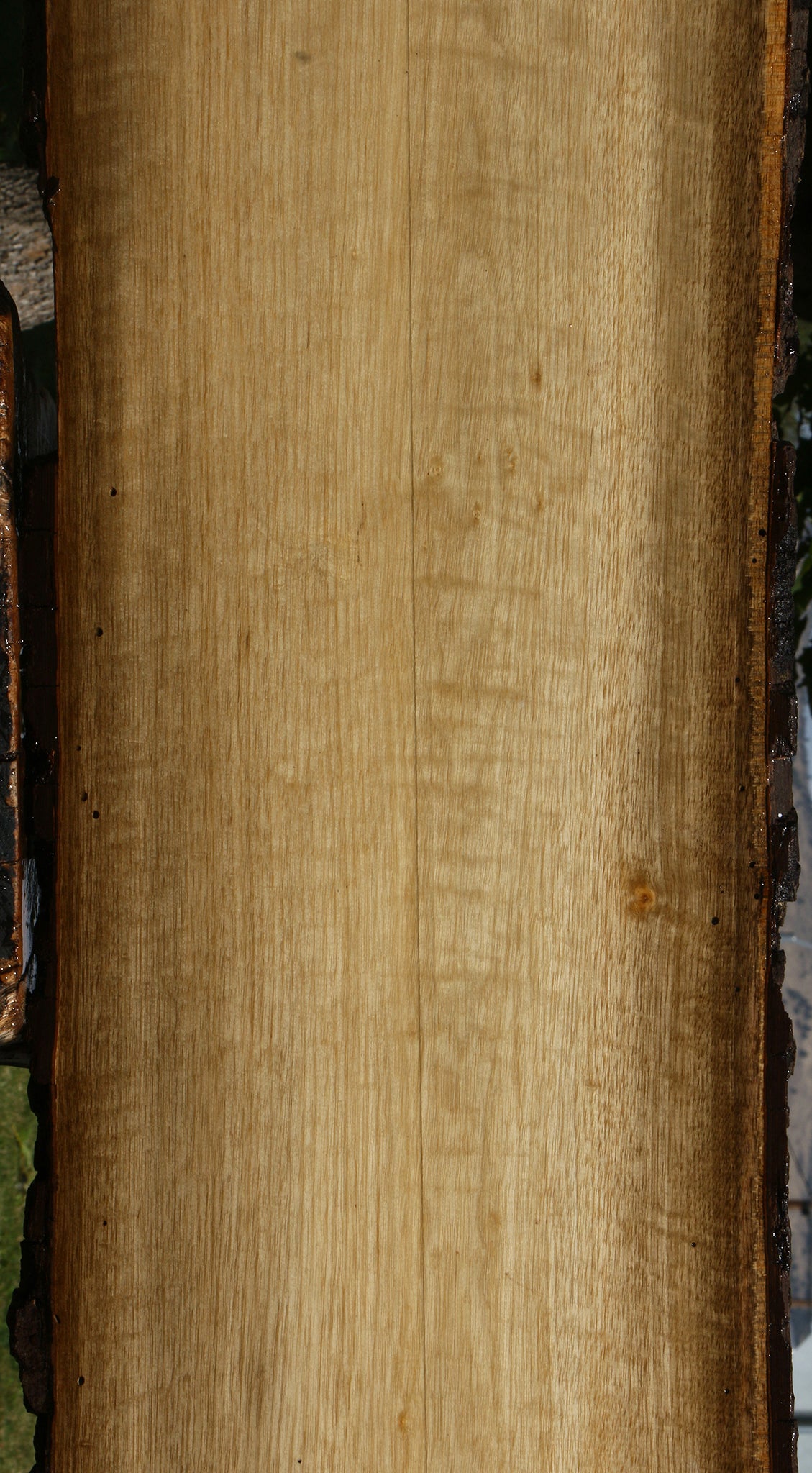 Figured Persimmon Live Edge Lumber