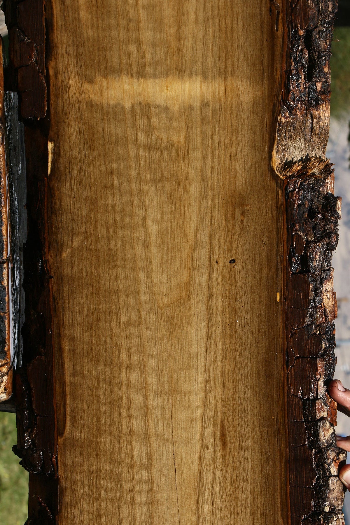 Figured Persimmon Live Edge Lumber
