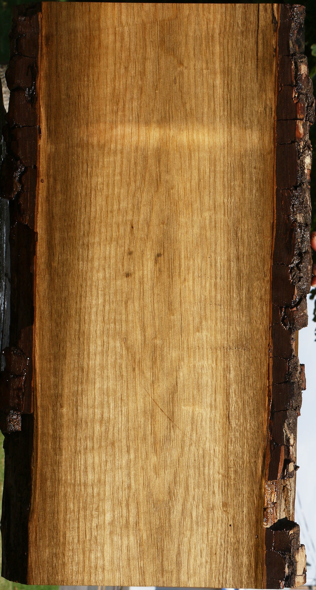 Persimmon Live Edge Lumber
