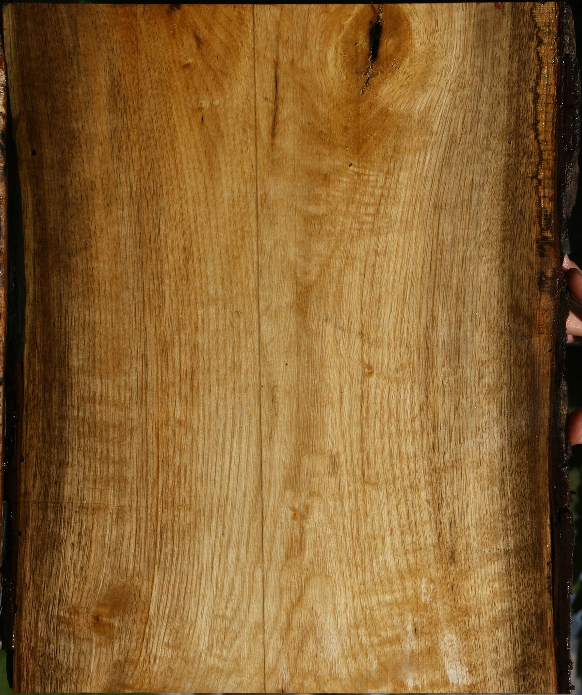 Figured Persimmon Live Edge Lumber