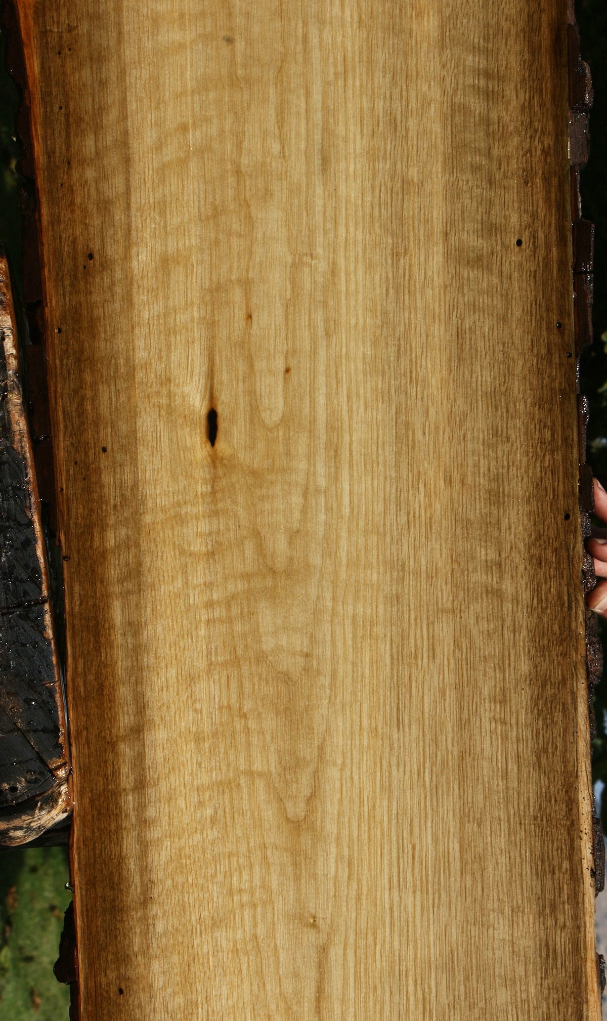 Figured Persimmon Live Edge Lumber