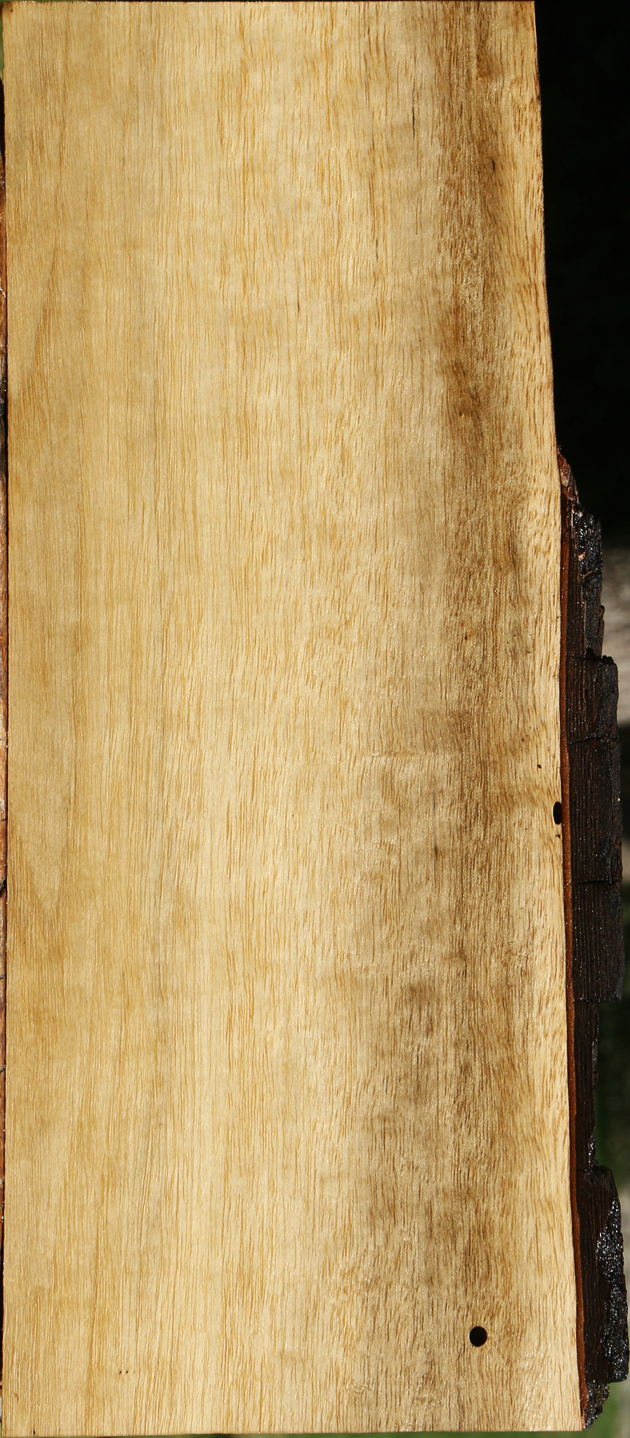 Persimmon Live Edge Lumber