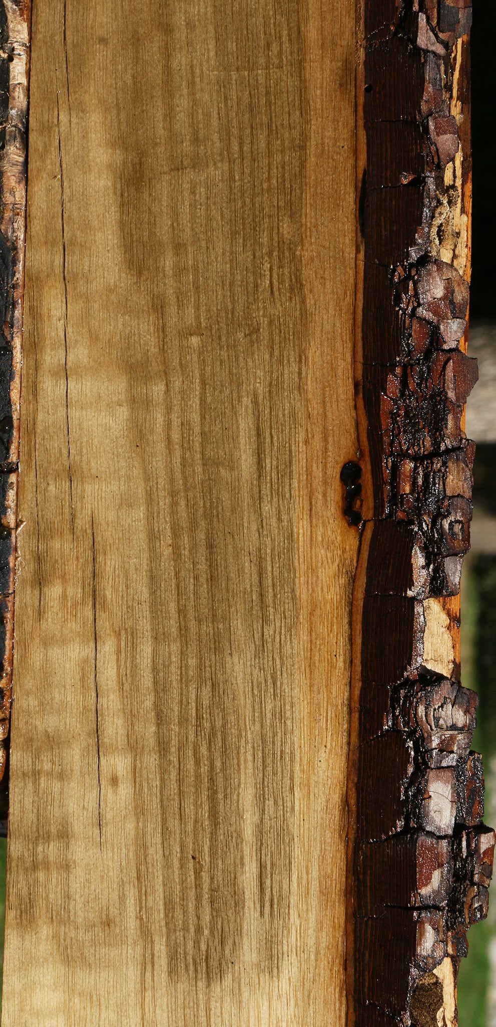 Figured Persimmon Live Edge Lumber