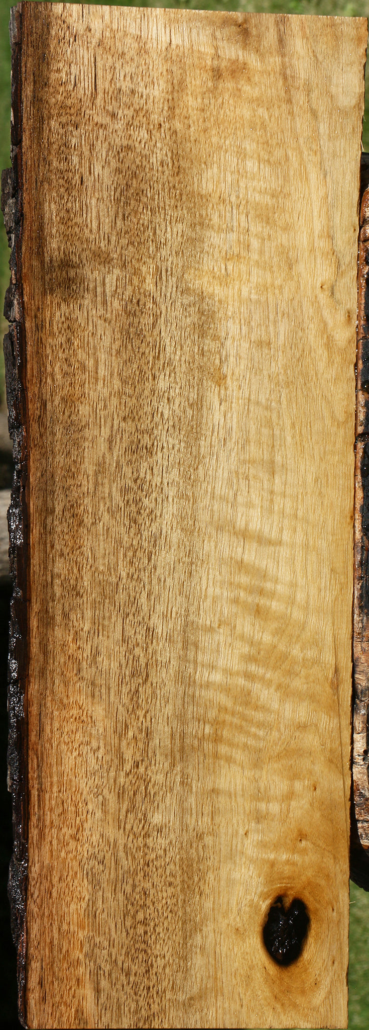 Figured Persimmon Live Edge Lumber