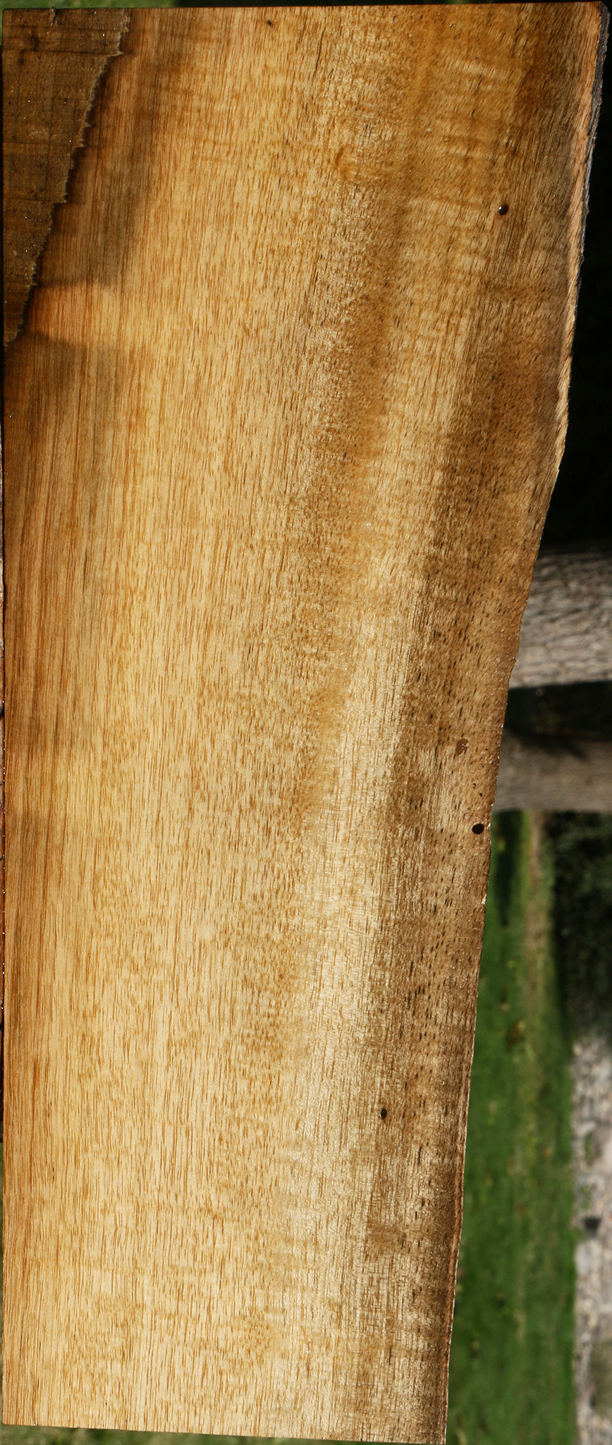 Figured Persimmon Live Edge Lumber