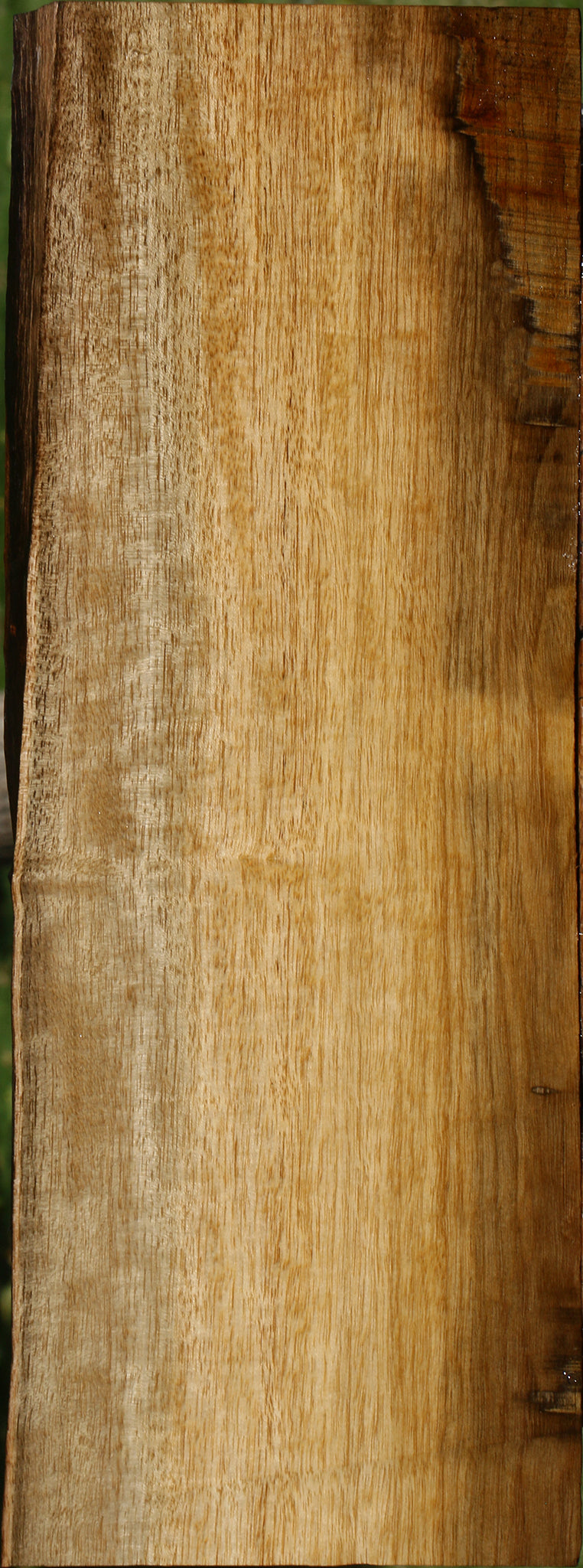 Figured Quartersawn Persimmon Live Edge Lumber