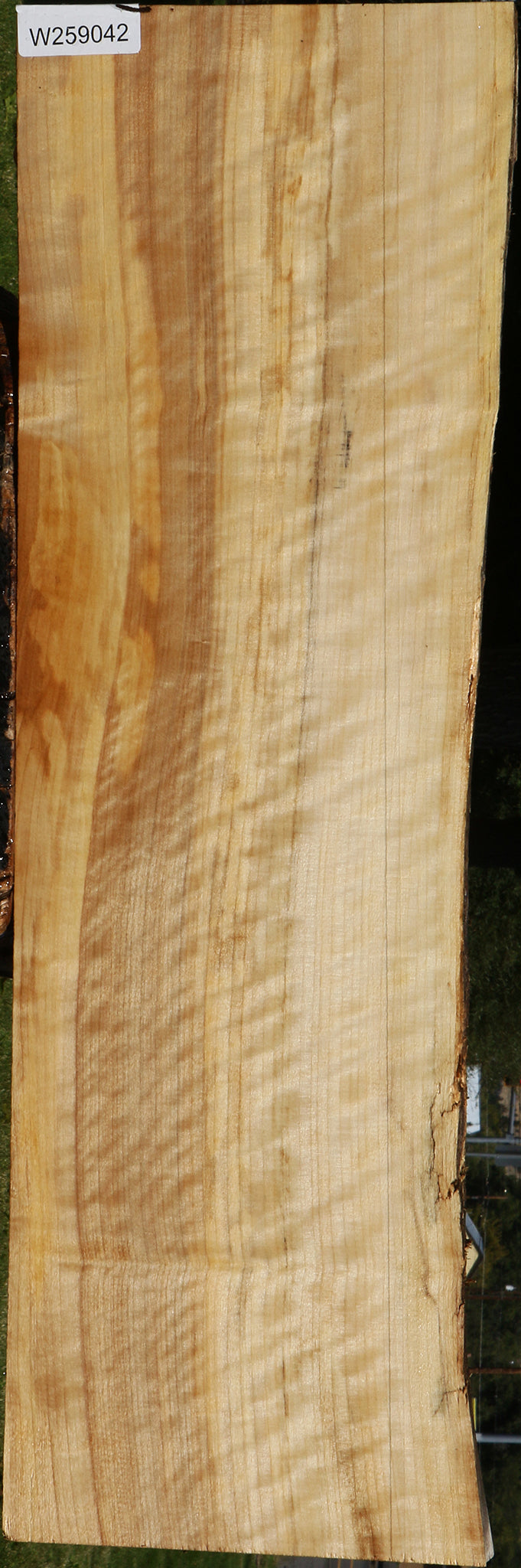 Extra Fancy Black Cottonwood Live Edge Lumber