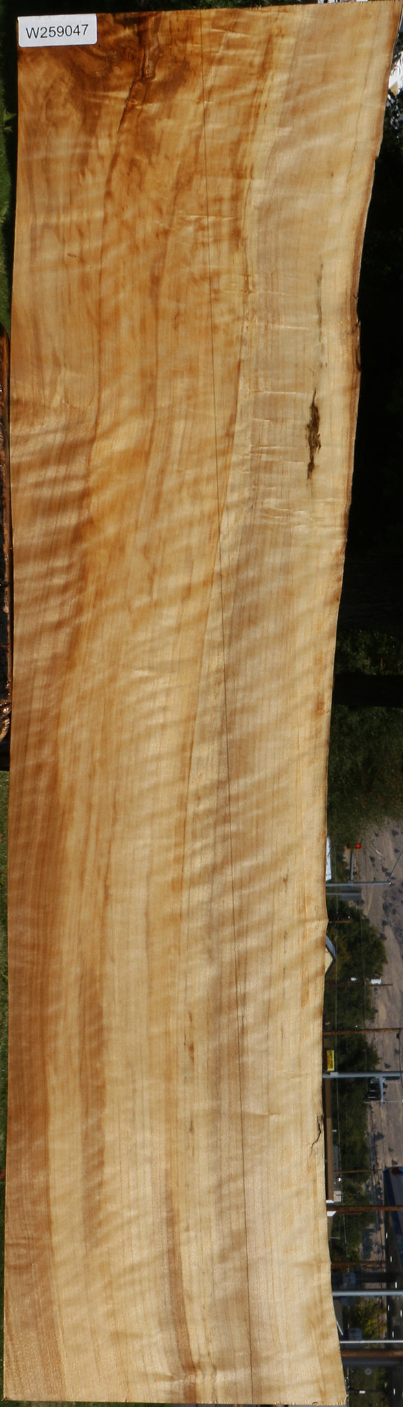 Extra Fancy Black Cottonwood Live Edge Lumber