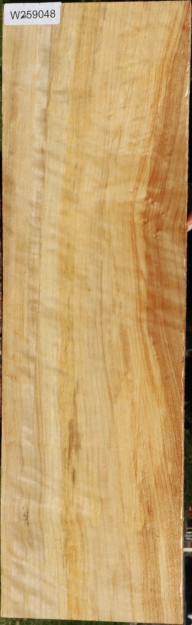 Extra Fancy Black Cottonwood Lumber