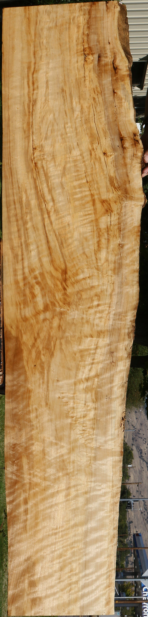 Extra Fancy Black Cottonwood Live Edge Lumber