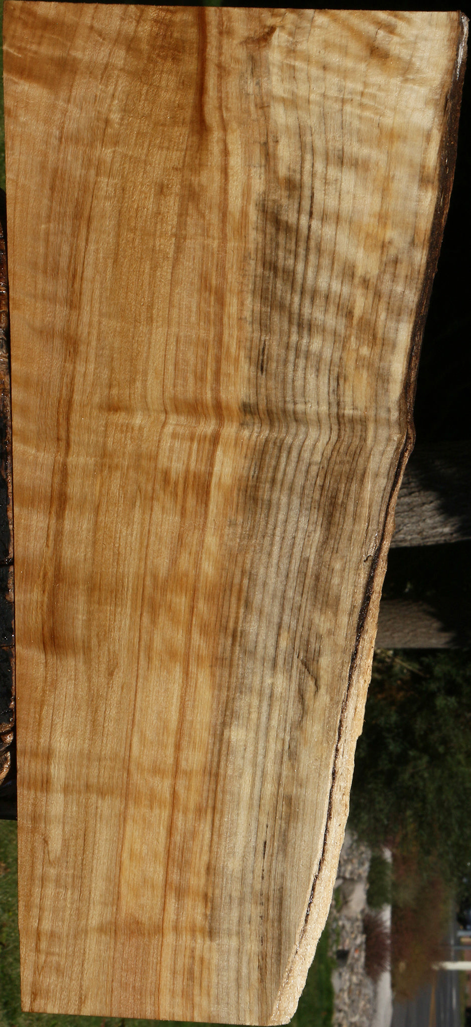 Figured Black Cottonwood Live Edge Lumber