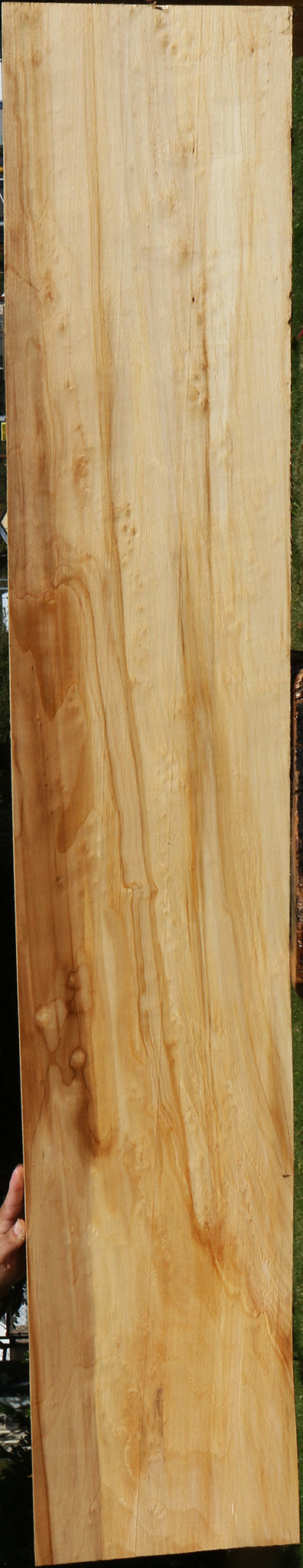 Black Cottonwood Lumber