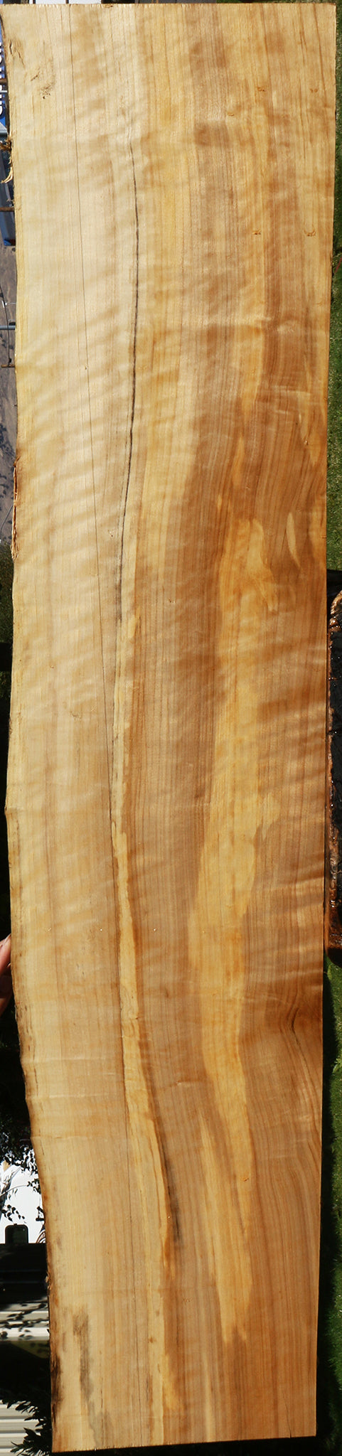 Figured Black Cottonwood Live Edge Lumber