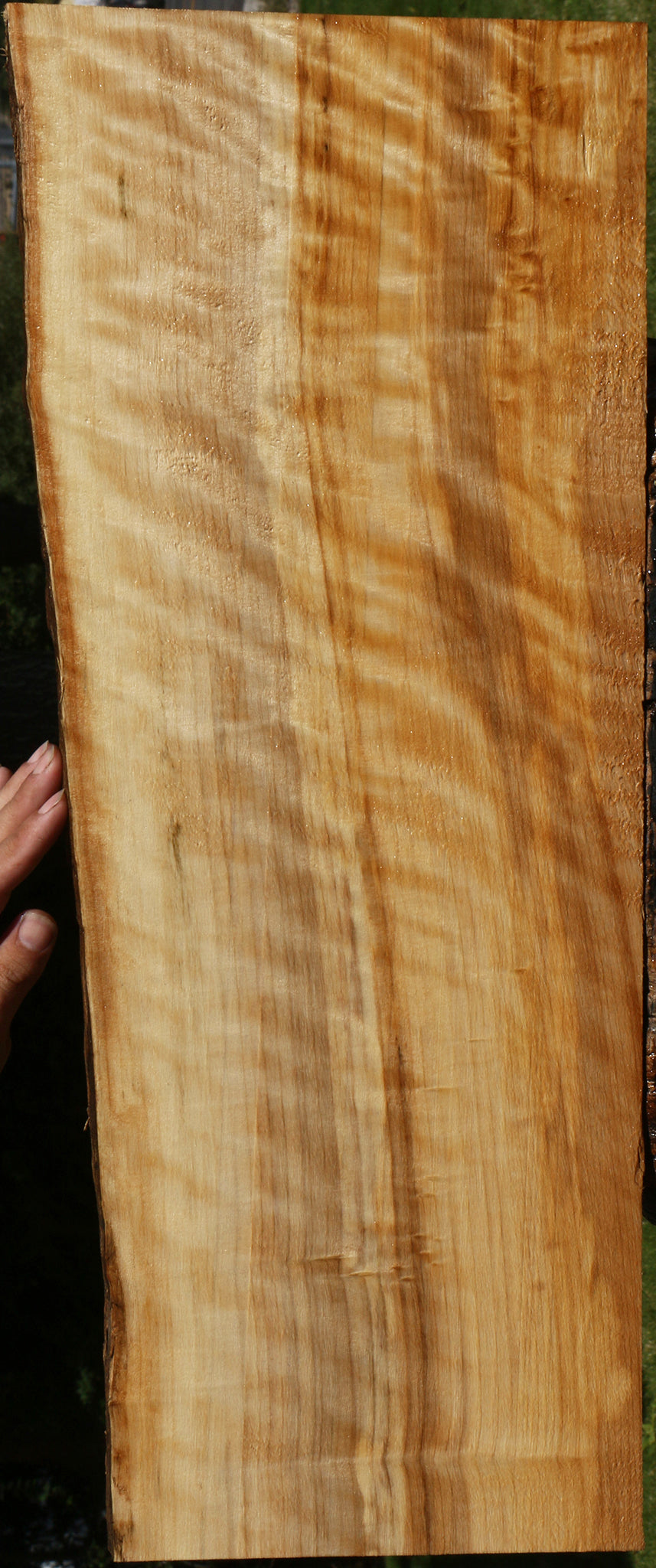 Extra Fancy Black Cottonwood Live Edge Lumber