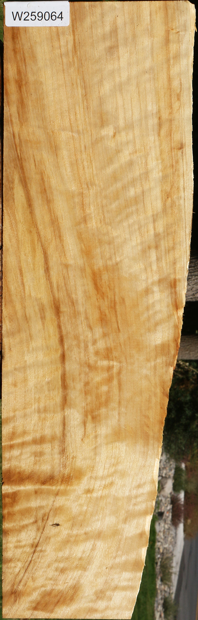 Figured Black Cottonwood Live Edge Lumber