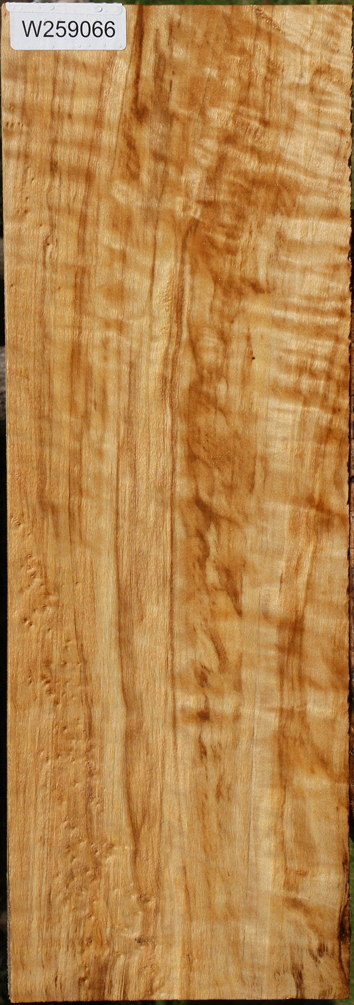 Extra Fancy Black Cottonwood Lumber