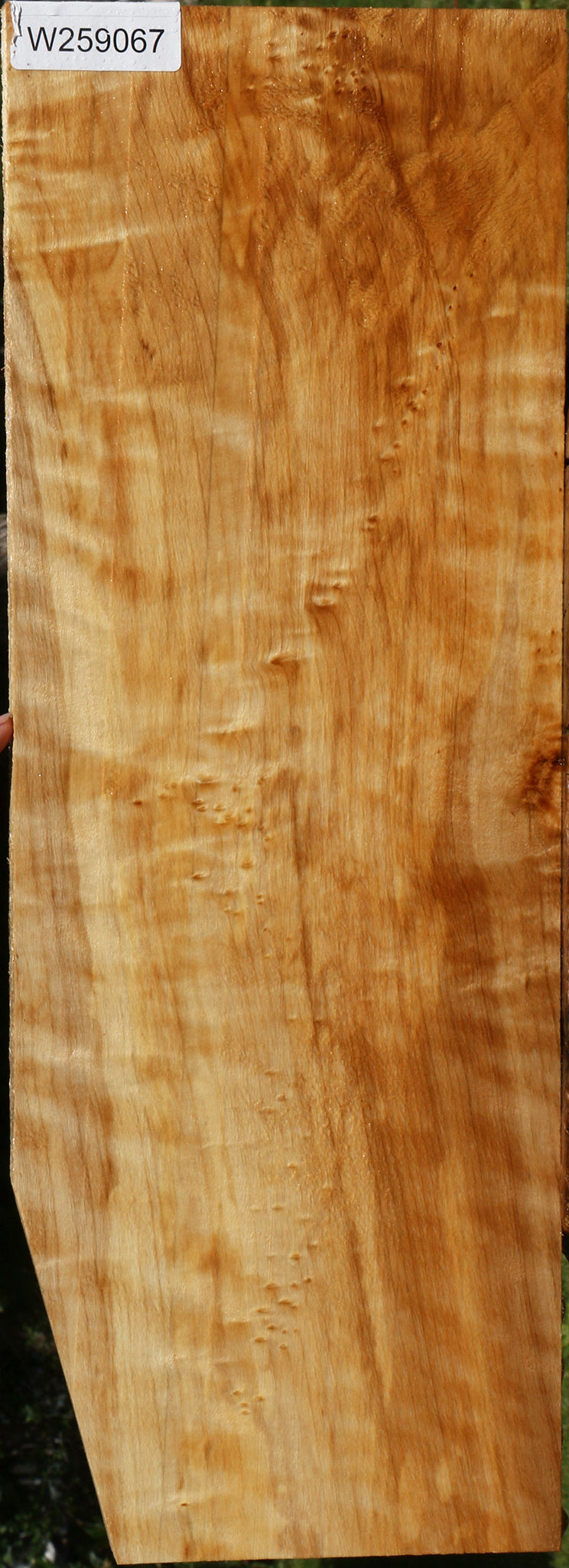 Extra Fancy Black Cottonwood Lumber