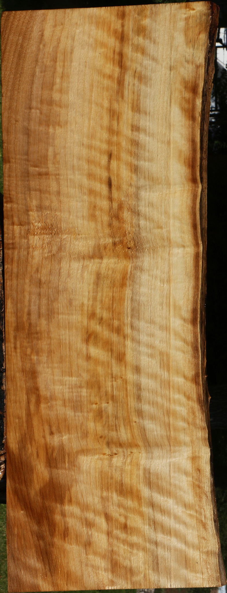 Extra Fancy Black Cottonwood Live Edge Lumber