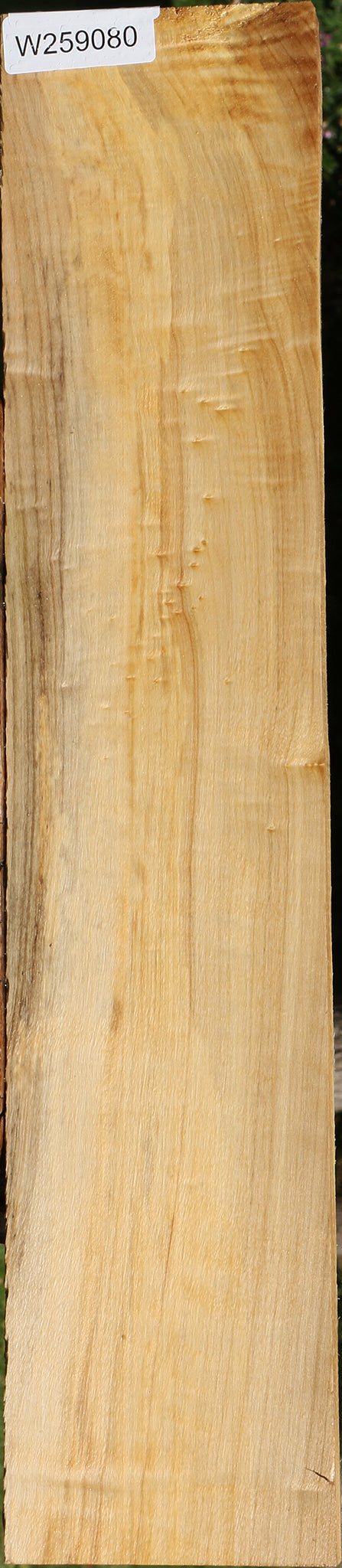 Figured Black Cottonwood Lumber
