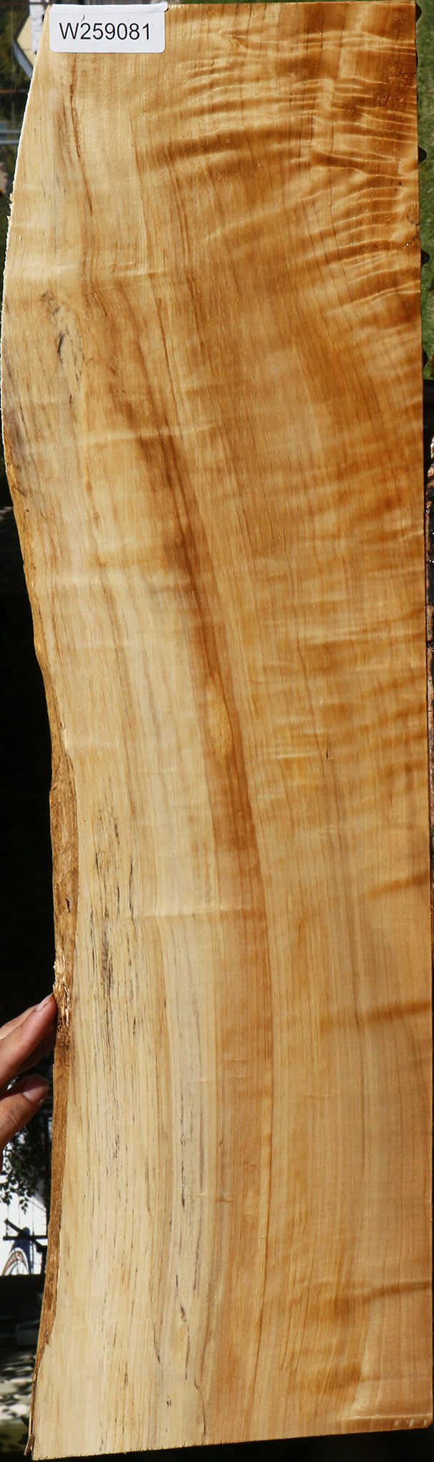 Figured Black Cottonwood Live Edge Lumber