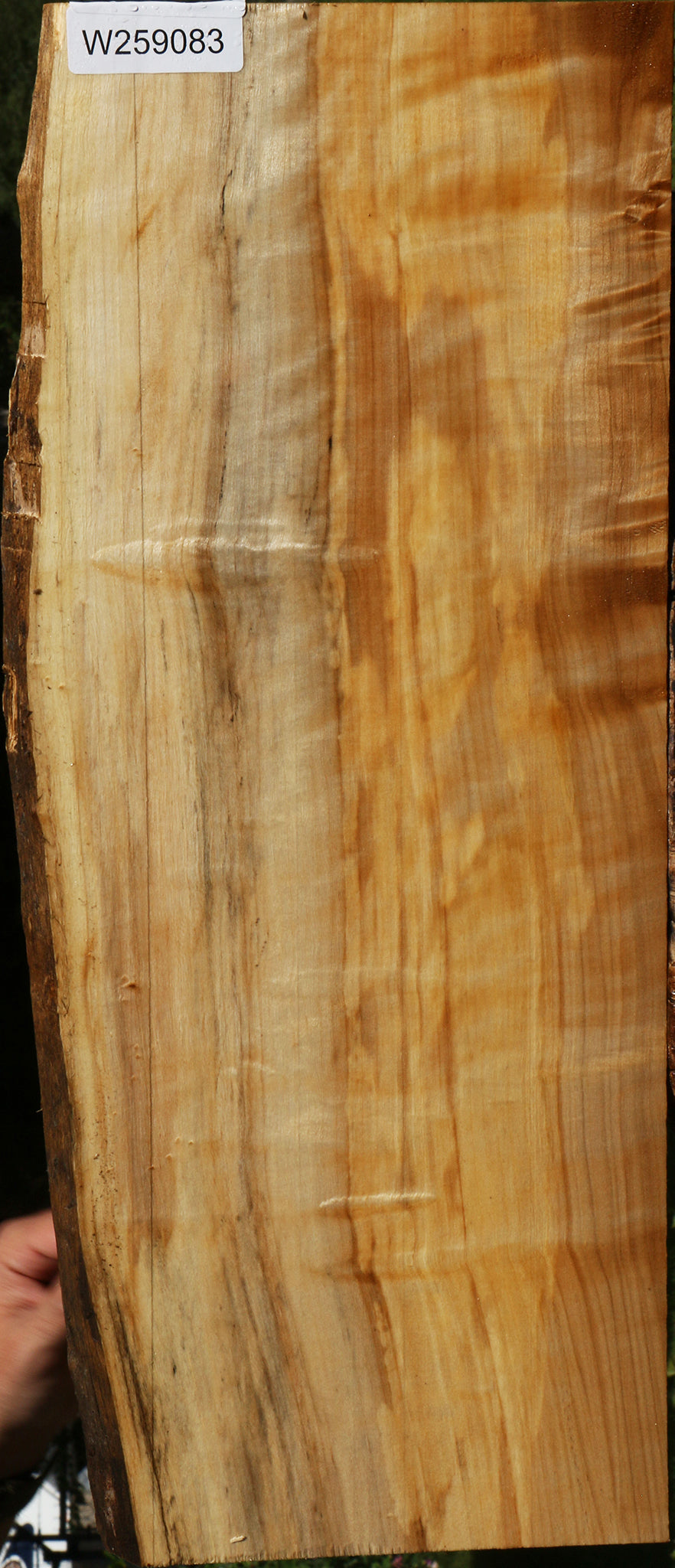 Extra Fancy Black Cottonwood Live Edge Lumber
